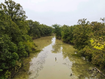 342 Acres First Class Hunting Land for Sale Concordia Parish - image 41