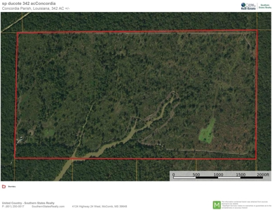 342 Acres First Class Hunting Land for Sale Concordia Parish - image 47