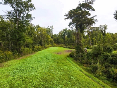 342 Acres First Class Hunting Land for Sale Concordia Parish - image 34
