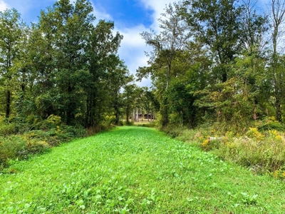 342 Acres First Class Hunting Land for Sale Concordia Parish - image 15