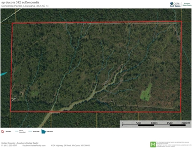 342 Acres First Class Hunting Land for Sale Concordia Parish - image 48