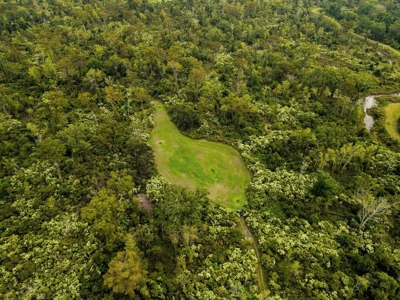 342 Acres First Class Hunting Land for Sale Concordia Parish - image 44
