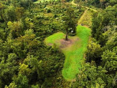 342 Acres First Class Hunting Land for Sale Concordia Parish - image 36