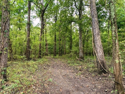 342 Acres First Class Hunting Land for Sale Concordia Parish - image 11