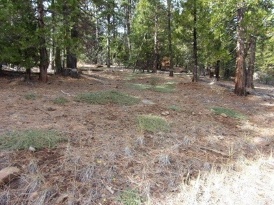 2+ Acres With Shed in California Pines - image 2