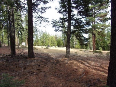 2+ Acres With Shed in California Pines - image 9