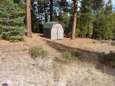 2+ Acres With Shed in California Pines - image 1