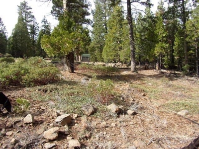 2+ Acres With Shed in California Pines - image 5
