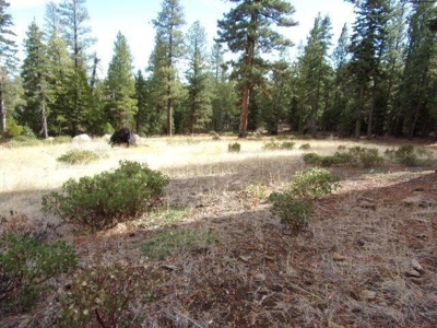2+ Acres With Shed in California Pines - image 11