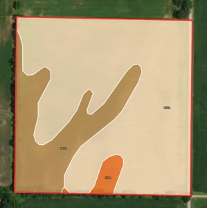40 Acres, Palestine, IL | For Sale at Auction - image 2