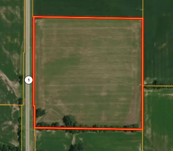 25.93 Acres, Palestine, IL | For Sale at Auction - image 1