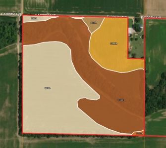 37.5 Acres, Palestine, IL | For Sale at Auction - image 2