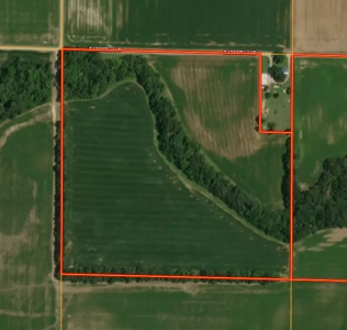 37.5 Acres, Palestine, IL | For Sale at Auction - image 1
