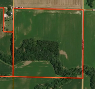 40 Acres, Palestine, IL | For Sale at Auction - image 1