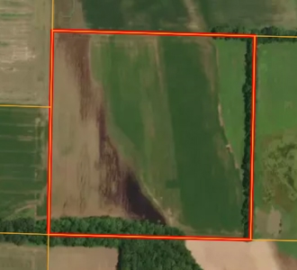 40 Acres, Palestine, IL | For Sale at Auction - image 1