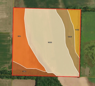 40 Acres, Palestine, IL | For Sale at Auction - image 2