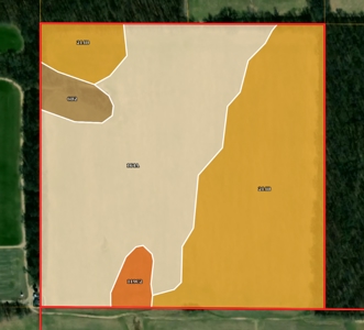 42.11 Acres, Flat Rock | For Sale at Auction - image 2