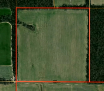 42.11 Acres, Flat Rock | For Sale at Auction - image 1