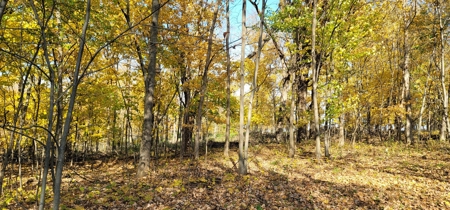 Vernon County Cabin with Land For Sale WI - image 25