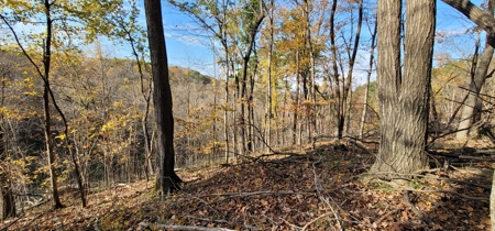 Vernon County Cabin with Land For Sale WI - image 24