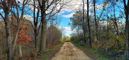 Vernon County Cabin with Land For Sale WI - image 18