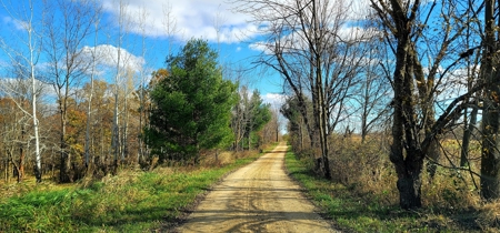 Vernon County Cabin with Land For Sale WI - image 17