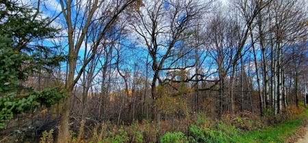 Vernon County Cabin with Land For Sale WI - image 28