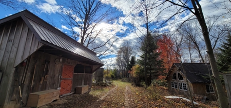 Vernon County Cabin with Land For Sale WI - image 29