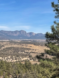 Laguna Vista Land for Sale with Brazos Views near Chama NM - image 7
