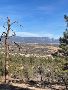 Laguna Vista Land for Sale with Brazos Views near Chama NM - image 6