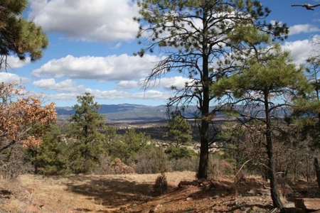 Laguna Vista Land for Sale with Brazos Views near Chama NM - image 1