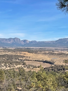Laguna Vista Land for Sale with Brazos Views near Chama NM - image 4