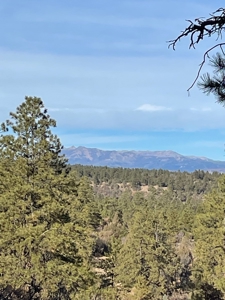 Laguna Vista Land for Sale with Brazos Views near Chama NM - image 5