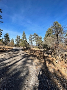 Laguna Vista Land for Sale with Brazos Views near Chama NM - image 3