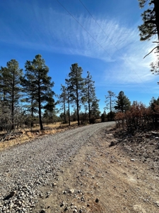 Laguna Vista Land for Sale with Brazos Views near Chama NM - image 2