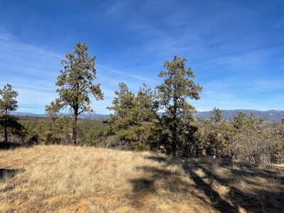 Recreational Mountain Land for Sale Near Heron Lake, Chama - image 5