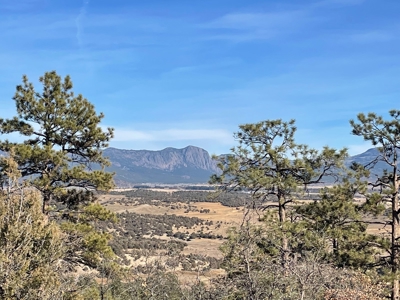 Recreational Mountain Land for Sale Near Heron Lake, Chama - image 4