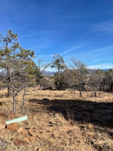 Recreational Mountain Land for Sale Near Heron Lake, Chama - image 11