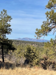 Recreational Mountain Land for Sale Near Heron Lake, Chama - image 3