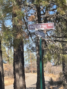 Recreational Mountain Land for Sale Near Heron Lake, Chama - image 6