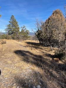 Recreational Mountain Land for Sale Near Heron Lake, Chama - image 10