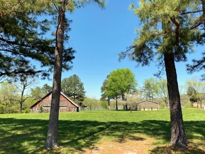Lakefront Home For Sale In Northwest Arkansas - image 28