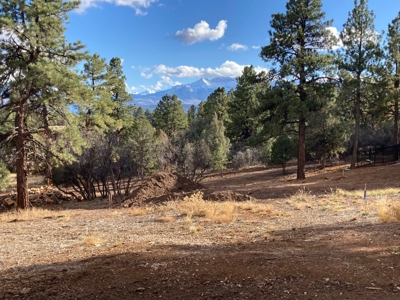 Superior Lot For Sale, Log Hill, Ridgway, Colorado - image 5
