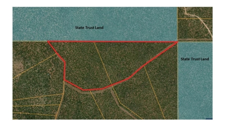 73+ Acres Borders State Trust Land - Owner Financing Avail - image 9