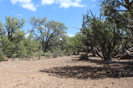 73+ Acres Borders State Trust Land - Owner Financing Avail - image 4