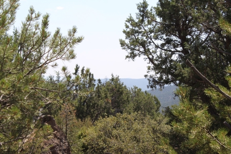 73+ Acres Borders State Trust Land - Owner Financing Avail - image 2