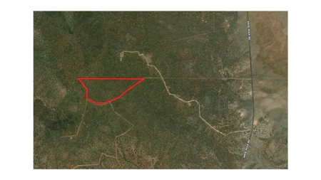 73+ Acres Borders State Trust Land - Owner Financing Avail - image 7