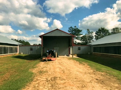 Poultry Breeder 2 House Farm for Sale South Mississippi - image 7