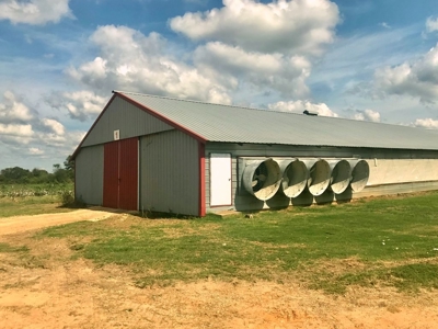 Poultry Breeder 2 House Farm for Sale South Mississippi - image 4