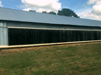 Poultry Breeder 2 House Farm for Sale South Mississippi - image 5